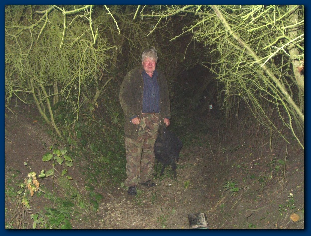 600x449 pixels (175K)